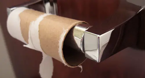 can guinea pigs eat toilet paper rolls
