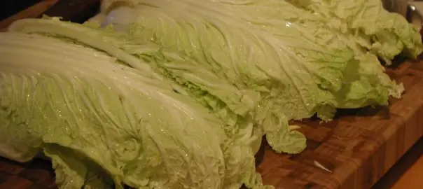can guinea pigs eat napa cabbage