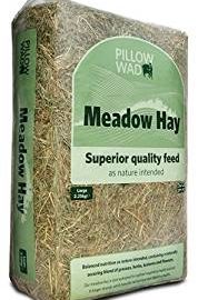 can guinea pigs eat meadow hay