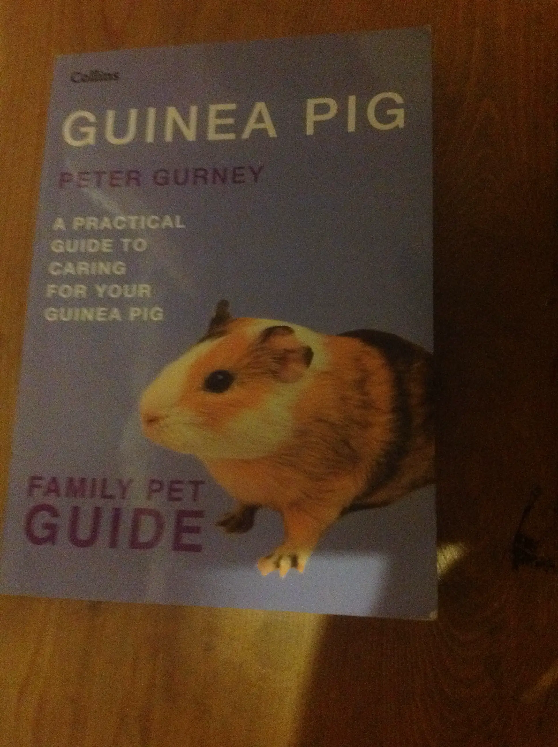 Book Review: Guinea Pig Family Pet Guide by Peter Gurney - Online
