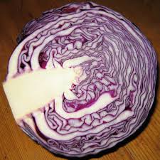 can guinea pigs eat red cabbage