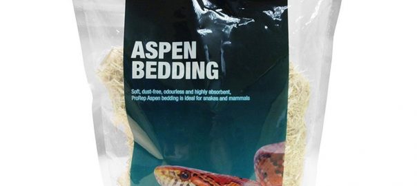can guinea pigs eat aspen bedding