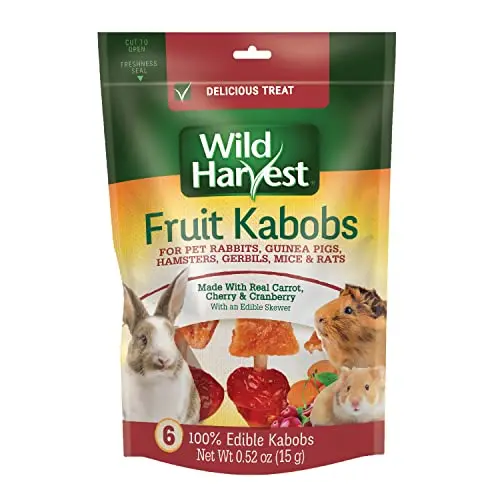 Wild Harvest Fruit Kabobs on edible skewers with carrot, cherry, and cranberry